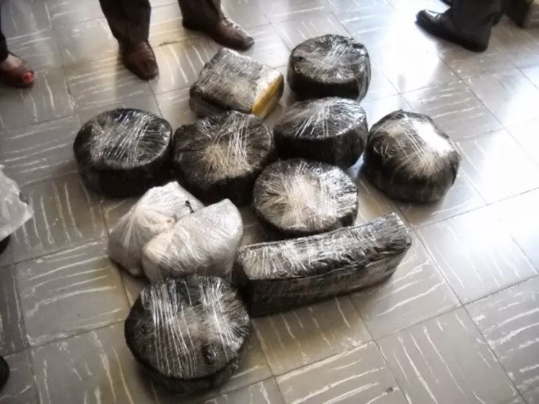 Dican decomisa más de 176 libras de marihuana en Santiago