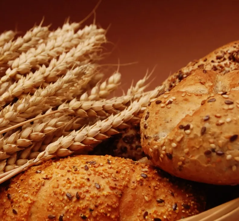 vivir trigo viernes 18