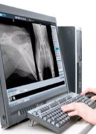 25_Vida & Estilos_21_3,p01