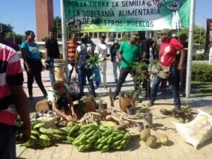 Campesinos reclaman frente al Congreso reforma agraria integral