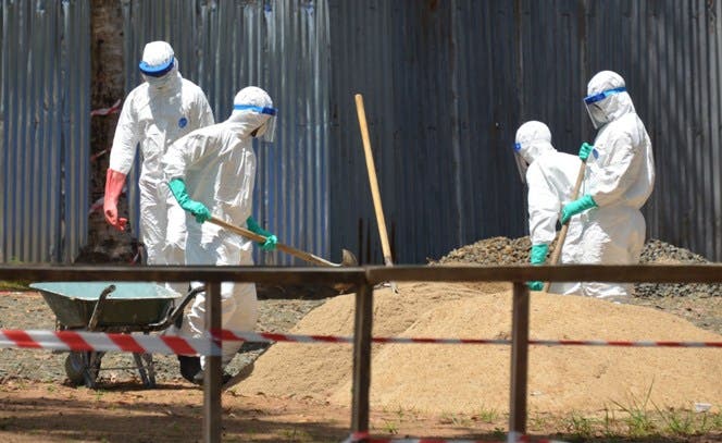 OMS: Falla plazo de control de ébola