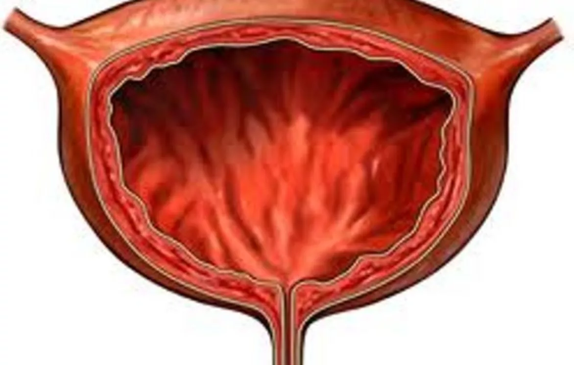 28_Sociales_18_1,p01