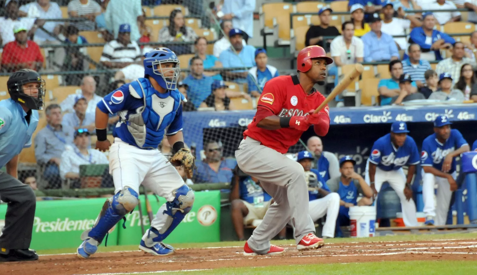 Leones vencen Tigres; empatan quinto lugar