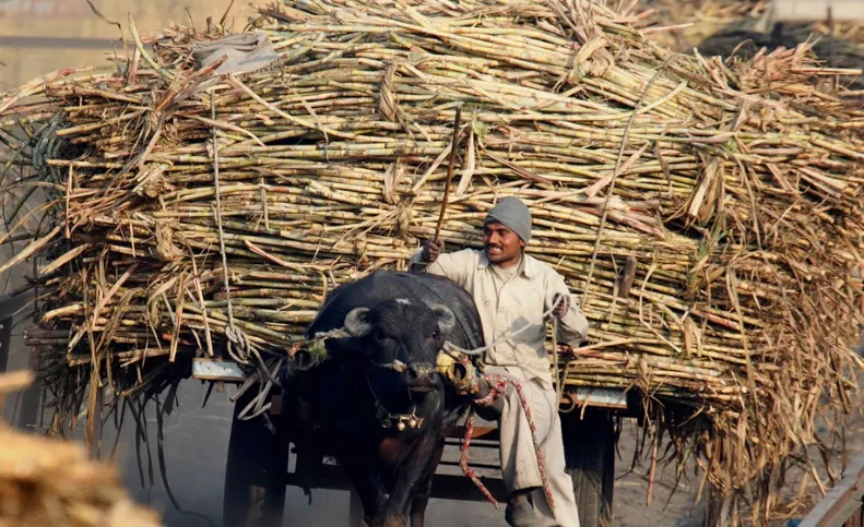 36_Globales_14_2,p01