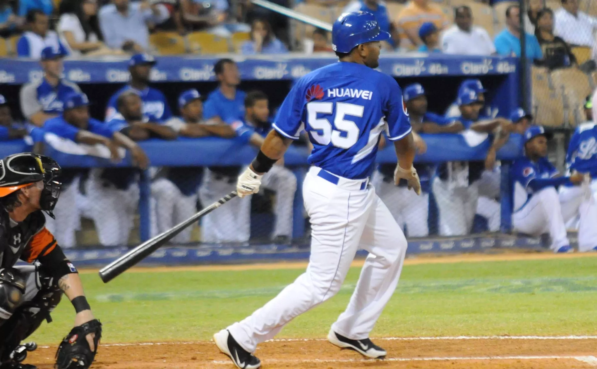 Tigres y Estrellas siguen firmes en la cima del béisbol dominicano