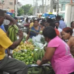 Escasez de plátano en República Dominicana: ¿Por qué aumentan los precios?