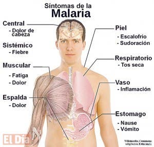 RD es campeona de Las Américas en lucha contra la malaria