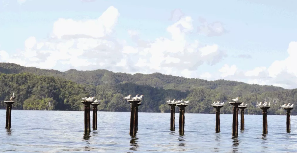 Los Haitises es como una parte del paraíso reflejado en la tierra