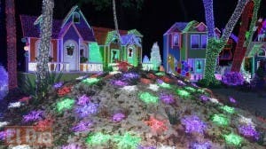 Brillante Navidad deslumbra; familia presidencial asiste a encendido de luces