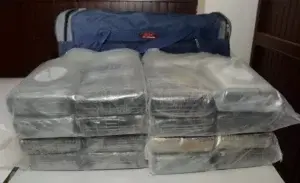 DICAN se incauta más de 59 kilos de distintos tipos de drogas