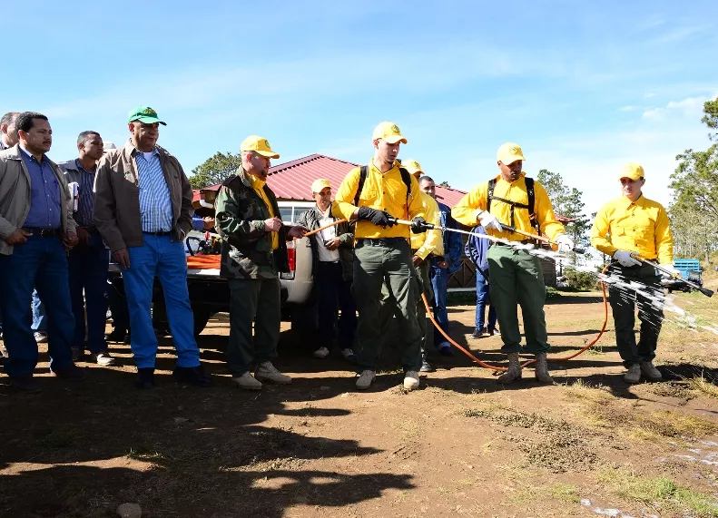 Medio Ambiente lanza Plan de Prevención Incendios 2015