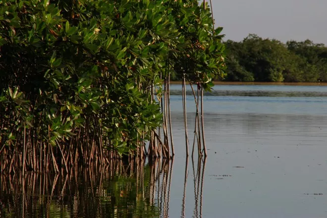 ASONAHORES pide respetar  co-manejo Laguna de Bávaro