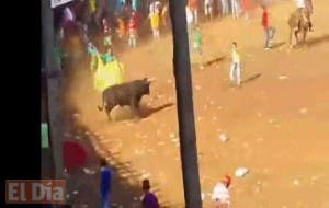 Un toro muerto a golpes por 20 personas desata la indignación en Colombia