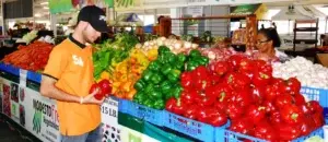 Gobierno anuncia medidas en apoyo a productores de vegetales y hortalizas