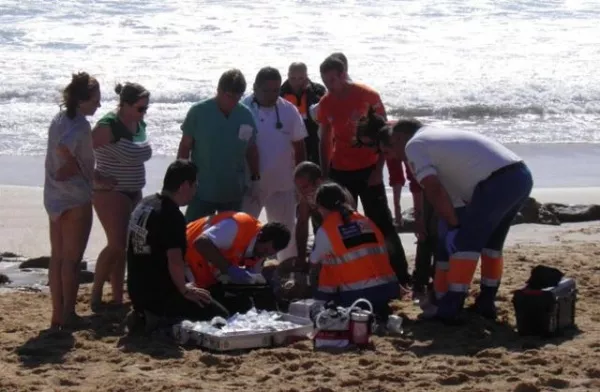 SE AHOGA CIUDADANO EXTRANJERO EN PLAYA DE MAIMON SE AHOGA CIUDADANO EXTRANJERO EN PLAYA DE MAIMON