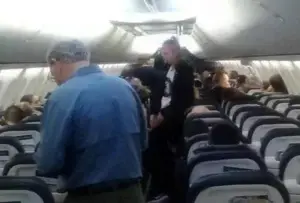 Escorpión pica a mujer en avión en Los Ángeles