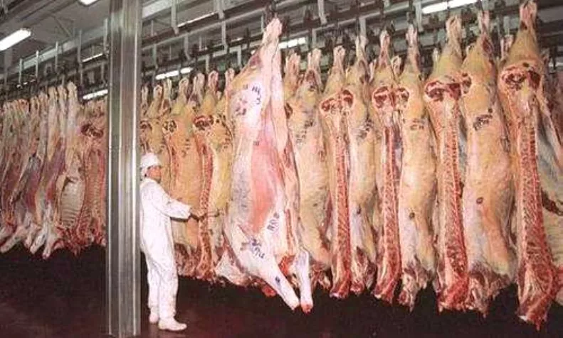 20_Globales_13_2,p01