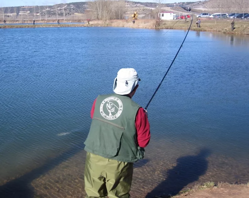 31_Globales_20_1,p01