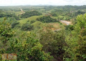 Apresan a ocho nacionales haitianos por cultivar en área protegida de Los Haitises