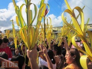 Significado del Domingo de Ramos