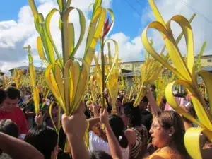 Significado del Domingo de Ramos