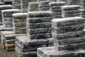 Decomisan 2 millones de paquetes de marihuana sintética en Nueva York