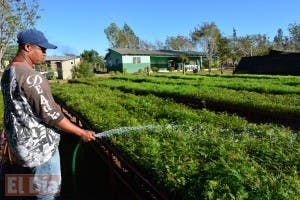 Representantes sector agroempresarial valoran erradicación de la Mosca del Mediterráneo