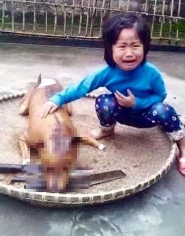 Niña descubre a su perro asado en un puesto de venta de comida y la imagen se hace viral