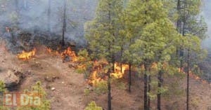 Detienen a 13 personas por incendios forestales