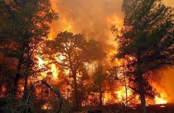 Fuego en Constanza
