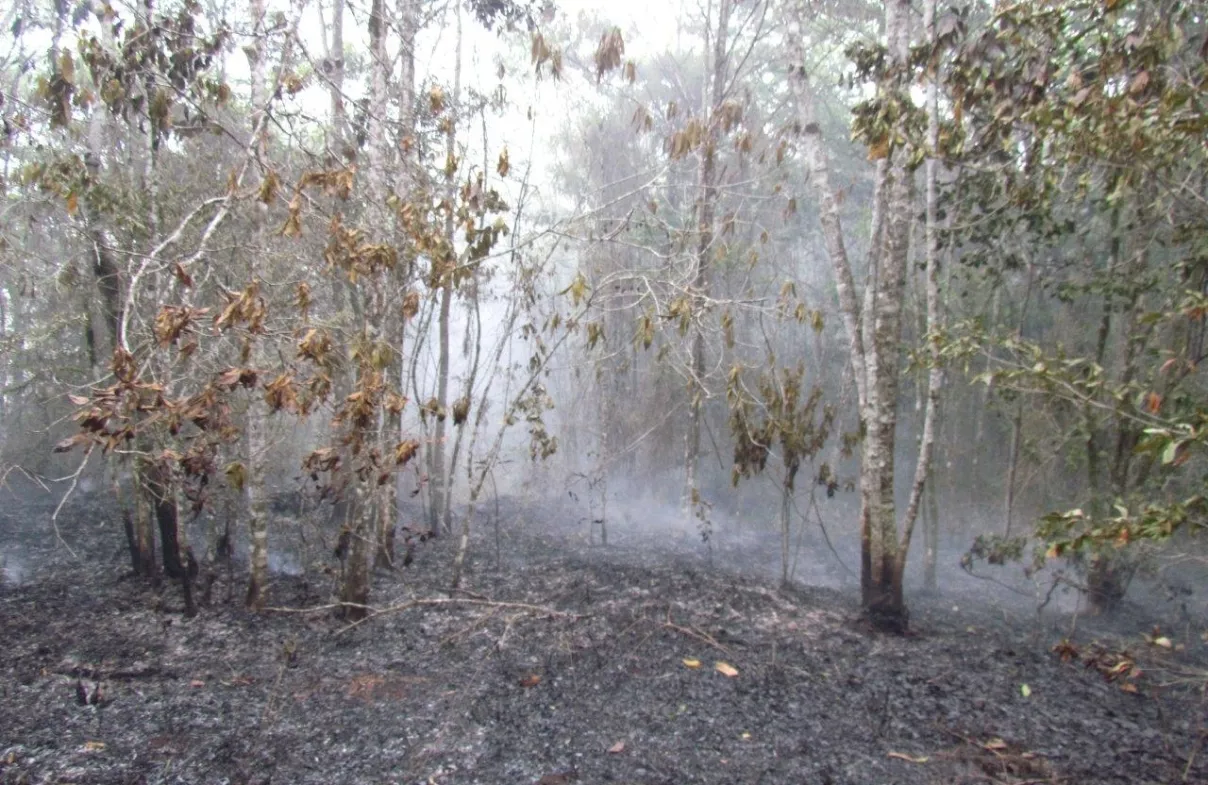 Falcondo afirma fuego afectó más su área