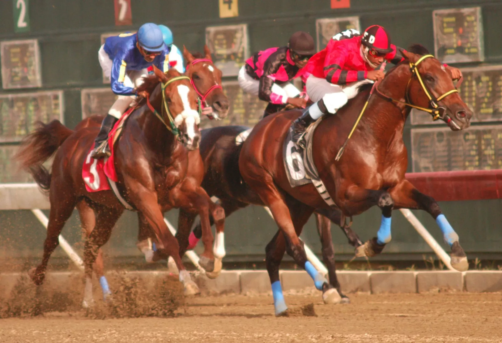 Bamboleo, en la primera vuelta, va colocándose al frente del pel