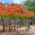 Semana Santa en la ciudad: cuatro parques para disfrutar en familia en Santo Domingo
