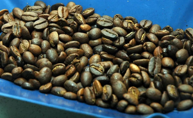 FOTOS PARA ILUSTRAR EDICIÓN DEL VIERNES 05 DE OCTUBRE DEL 2007 DE VIVIR.