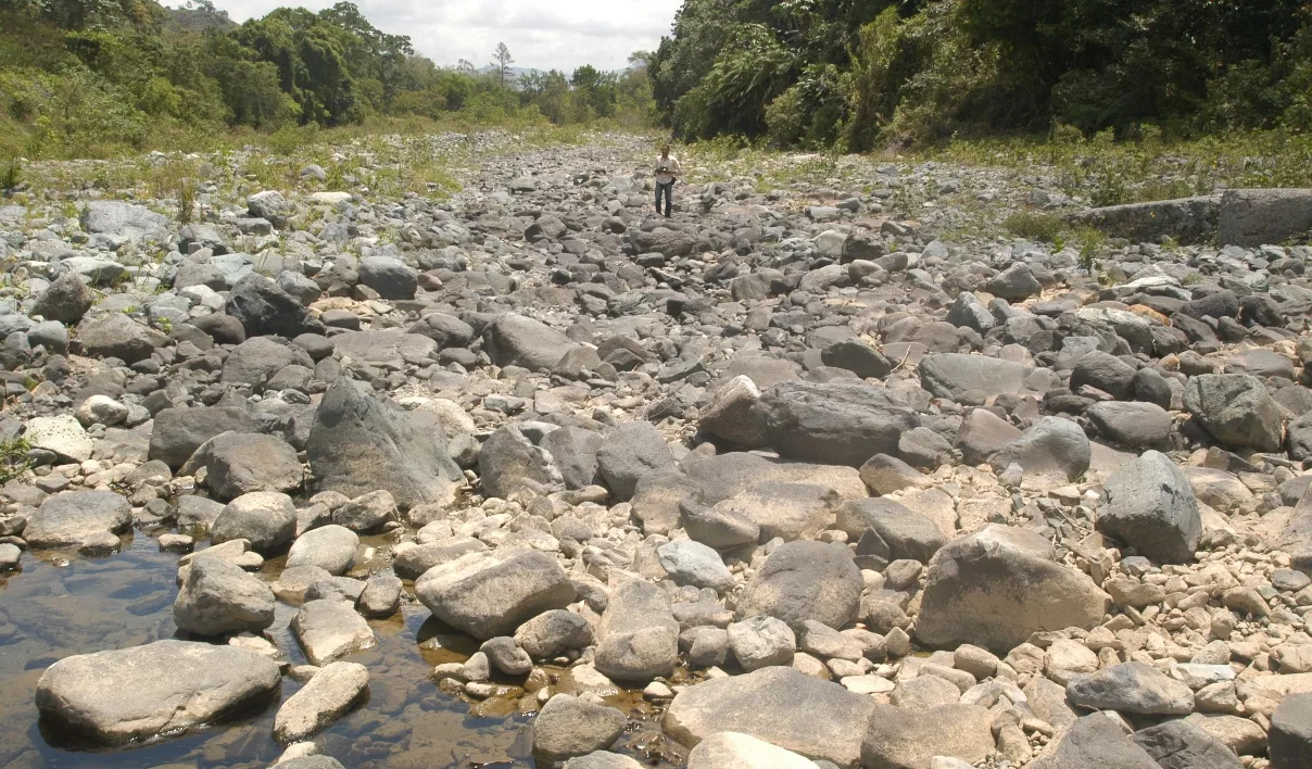 4_Nacionales_18_1,p01