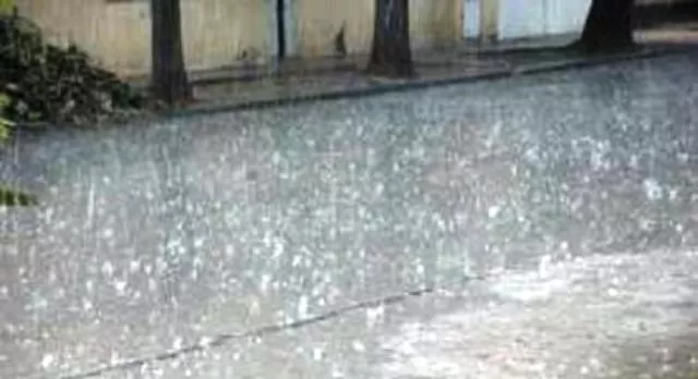 CAE GRANIZADA EN NAVAS portada (1)