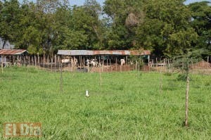 Denuncian banda invade fincas ganaderas en La Victoria