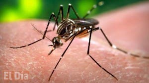 Zika se propaga por América y se extiende temor por vínculo con microcefalia