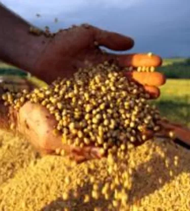 14_Globales_04_3,p01