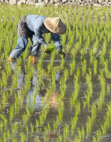 16_Globales_17_2,p01