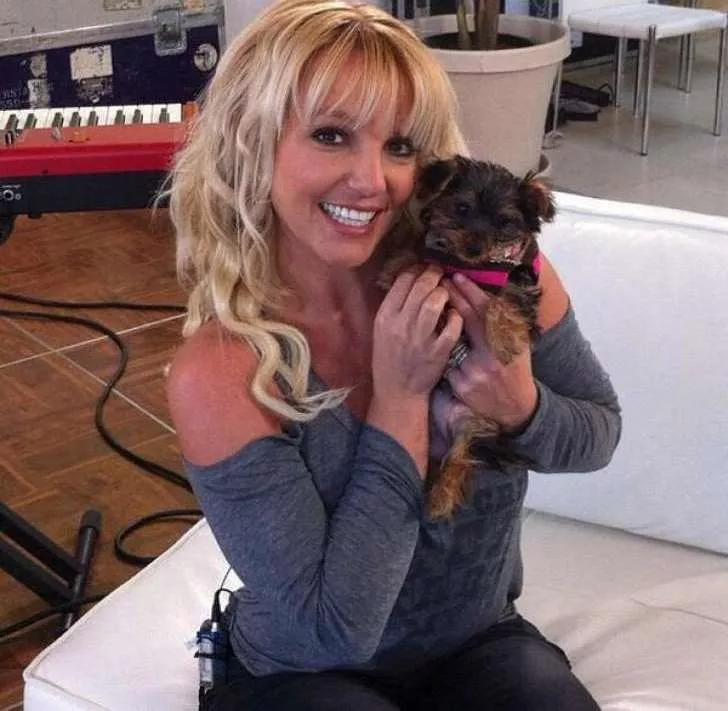 Britney Spears gasta 24.000 euros en el cuidado de sus perros