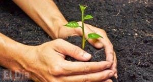 Hoy es Día Mundial del Medio Ambiente