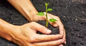 Hoy es Día Mundial del Medio Ambiente