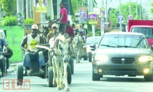 Caballos son maltratados sin piedad en calles de San Cristóbal