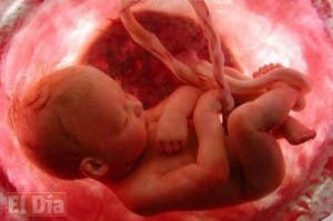 La “moda” de comerse la placenta tras el parto no tiene beneficios probados