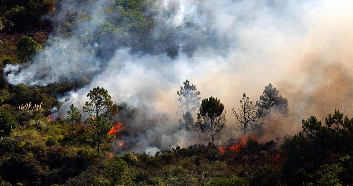 12 nacionales 28-1,p01