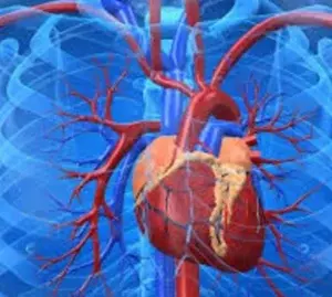 La FDA aprueba nuevo fármaco contra muerte cardiovascular