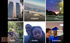 Google se disculpa tras confundir foto de afroamericanos con gorilas