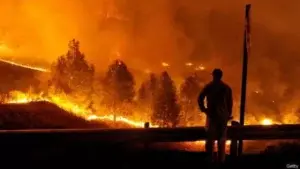 Más de 13.000 personas evacuadas por incendios forestales en California