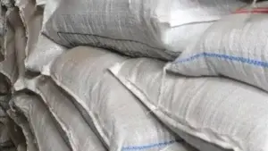 Incautan en Italia barco con 122 kilos de cocaína procedente de RD